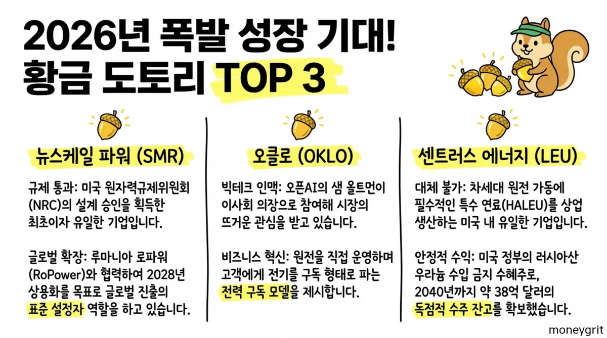 미국 SMR 관련주 TOP 3
