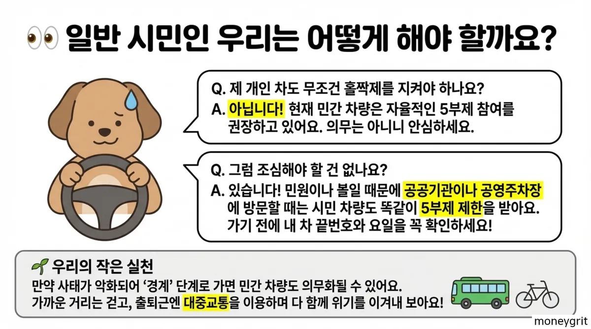 공영주차장5부제